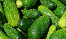 吃瓜网官网,带你领略网络娱乐资讯的盛宴